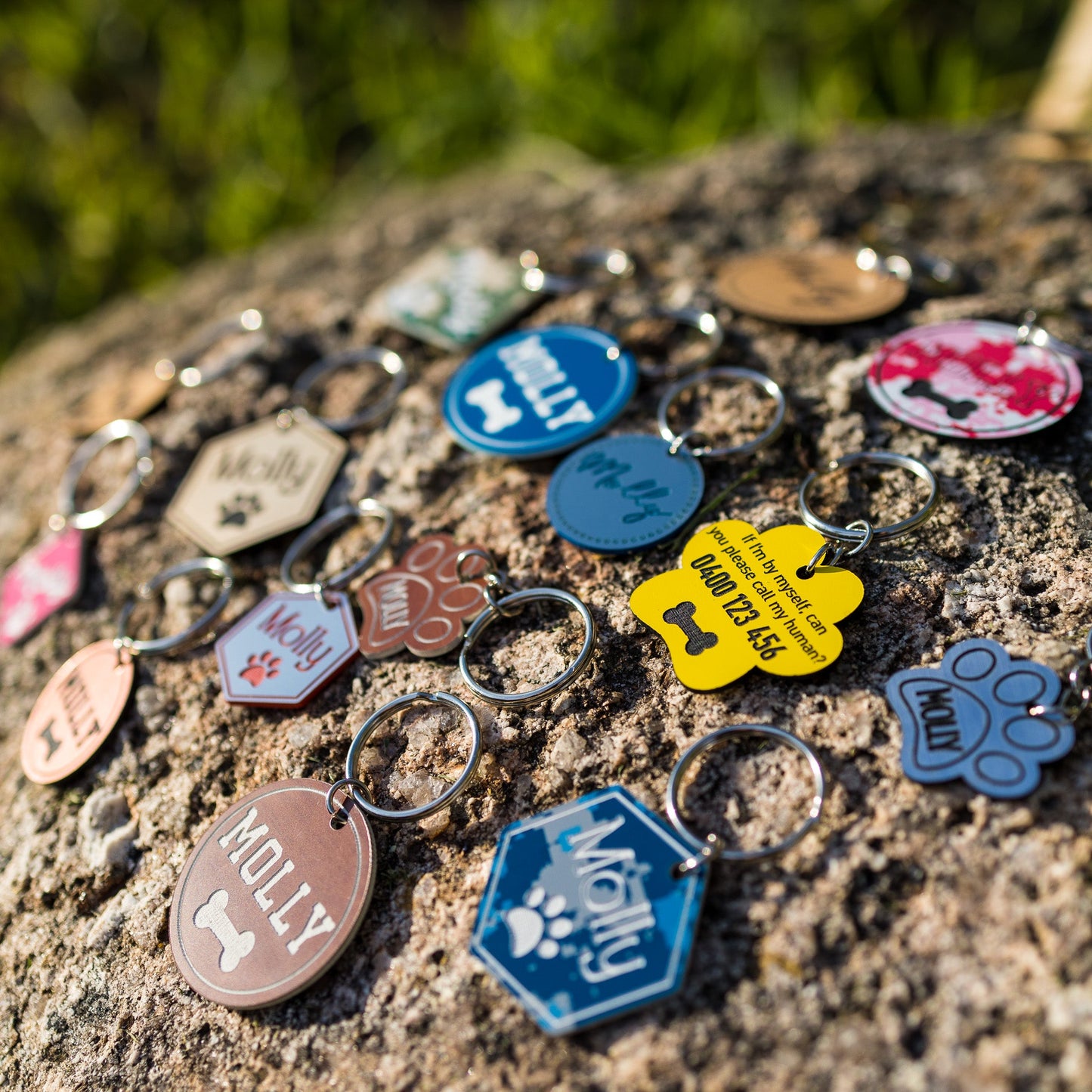 Large Acrylic Pet Tags (40mm)