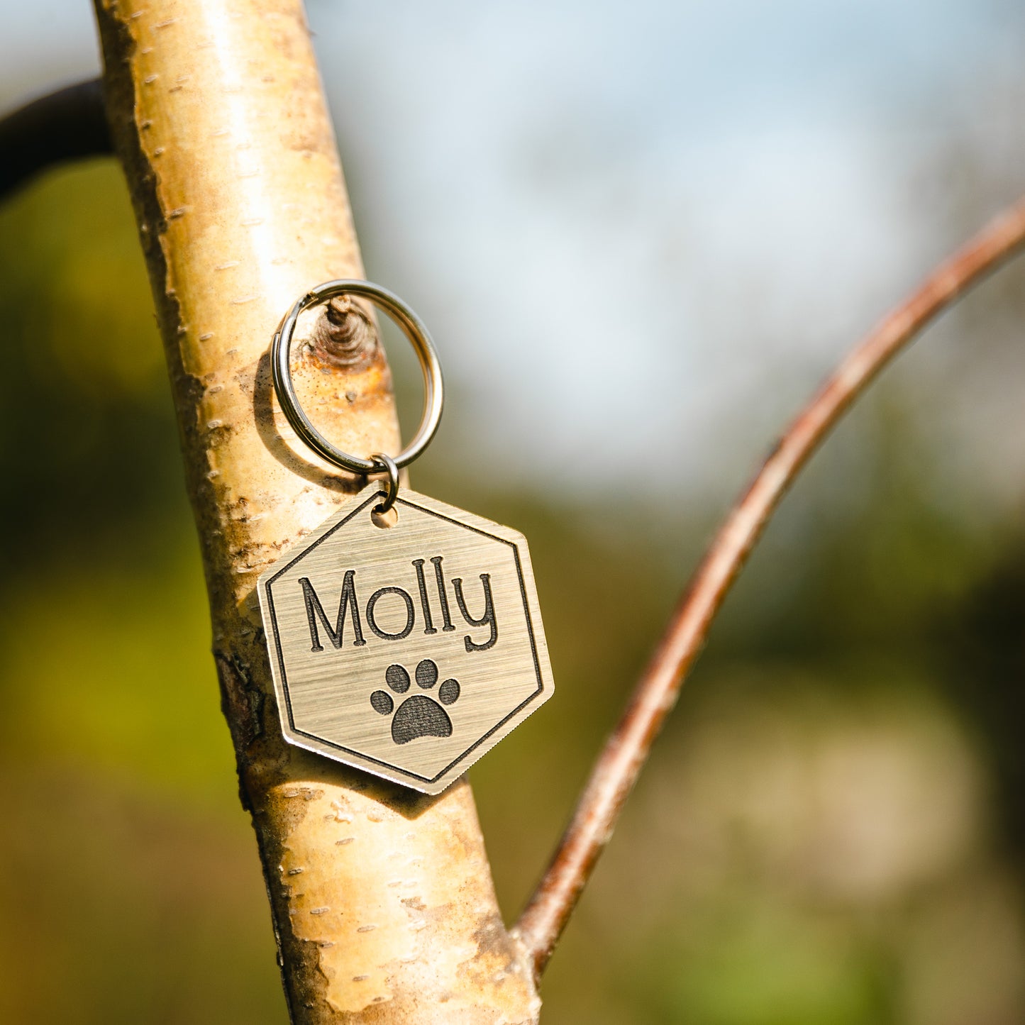 Large Acrylic Pet Tags (40mm)