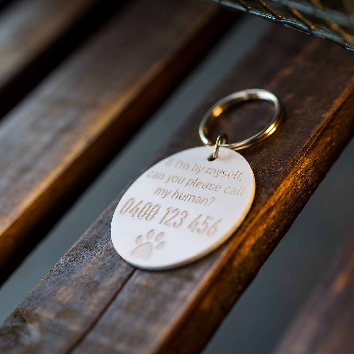 Small Acrylic Pet Tags (30mm)