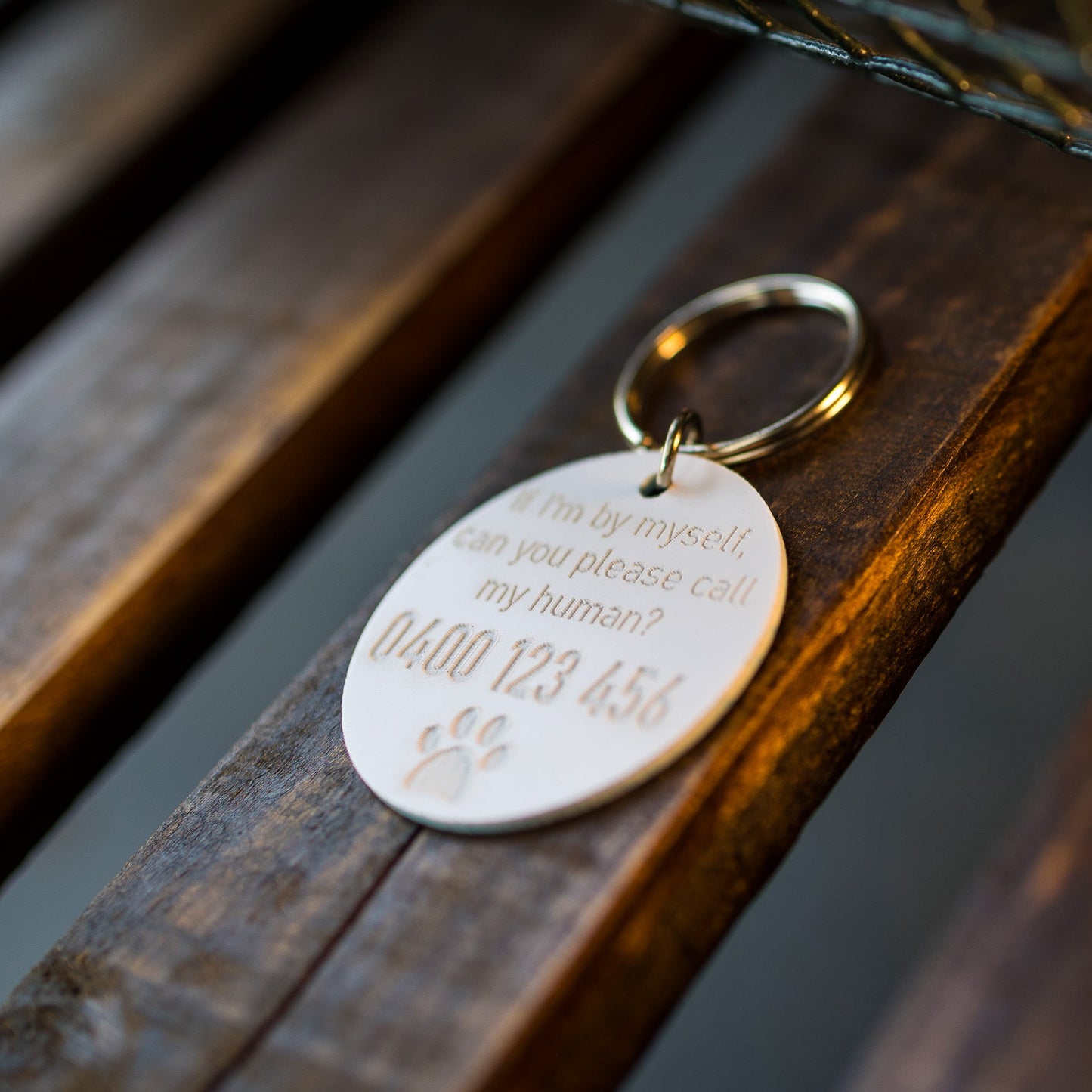 Large Acrylic Pet Tags (40mm)