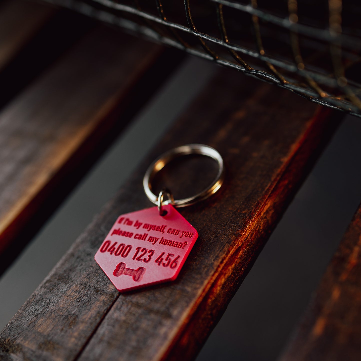 Large Acrylic Pet Tags (40mm)