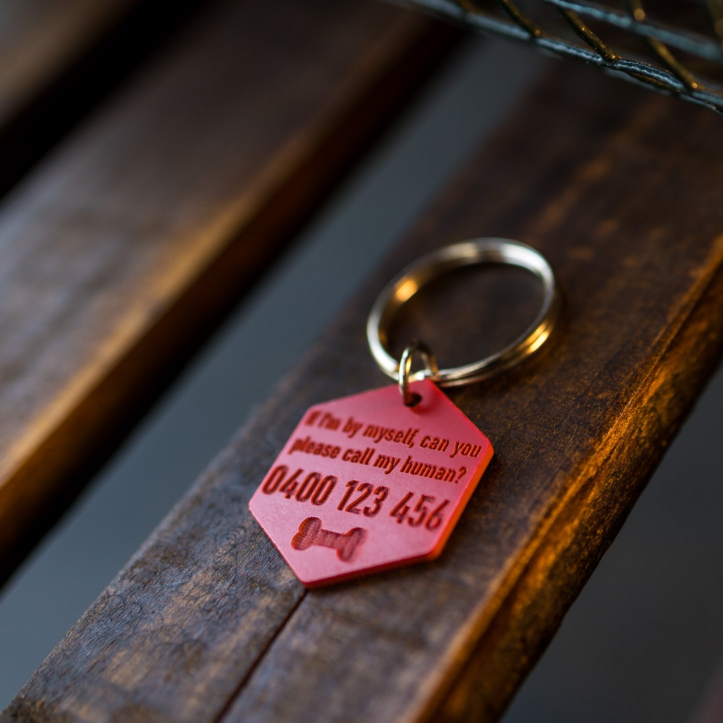 Small Acrylic Pet Tags (30mm)