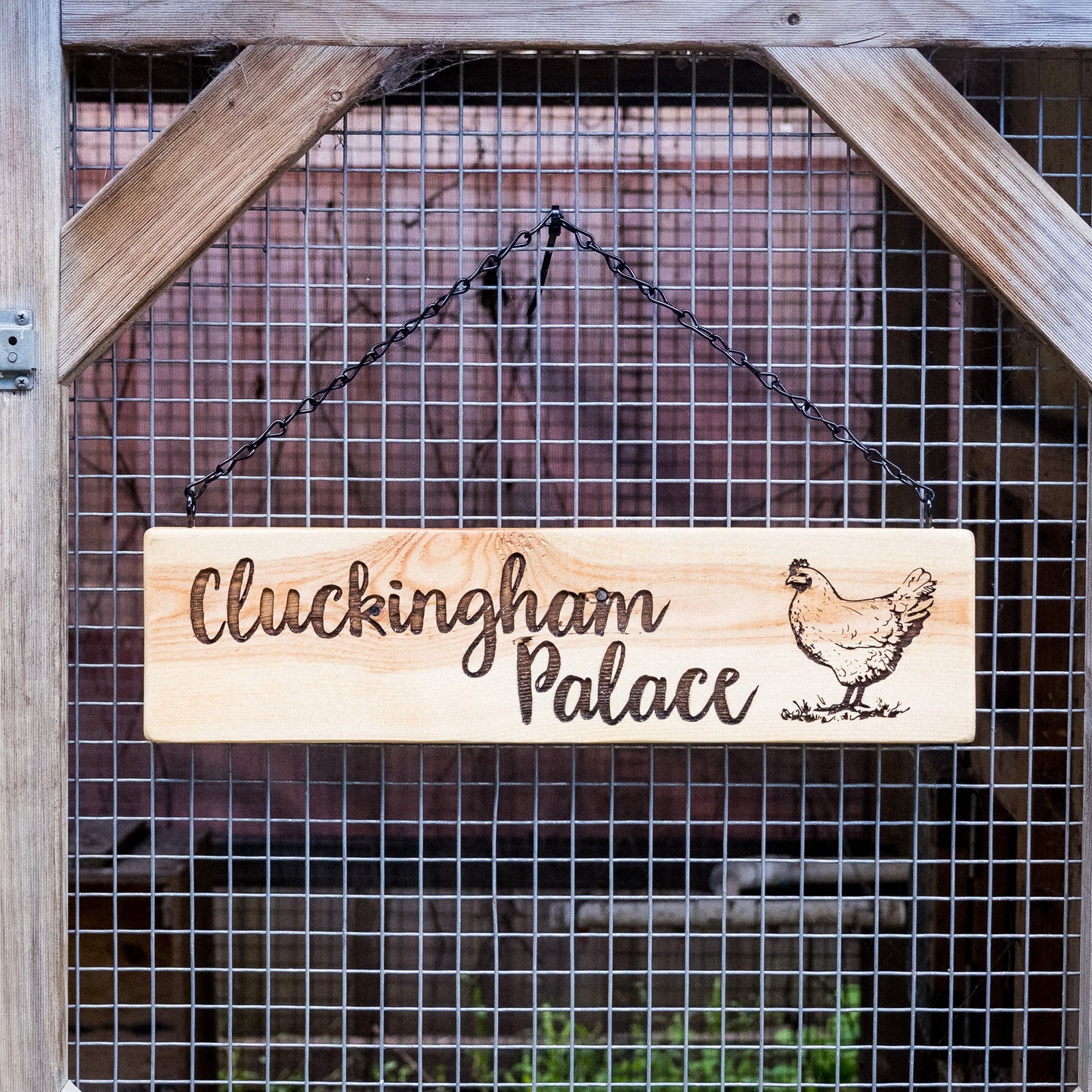 Chicken Coop Signs