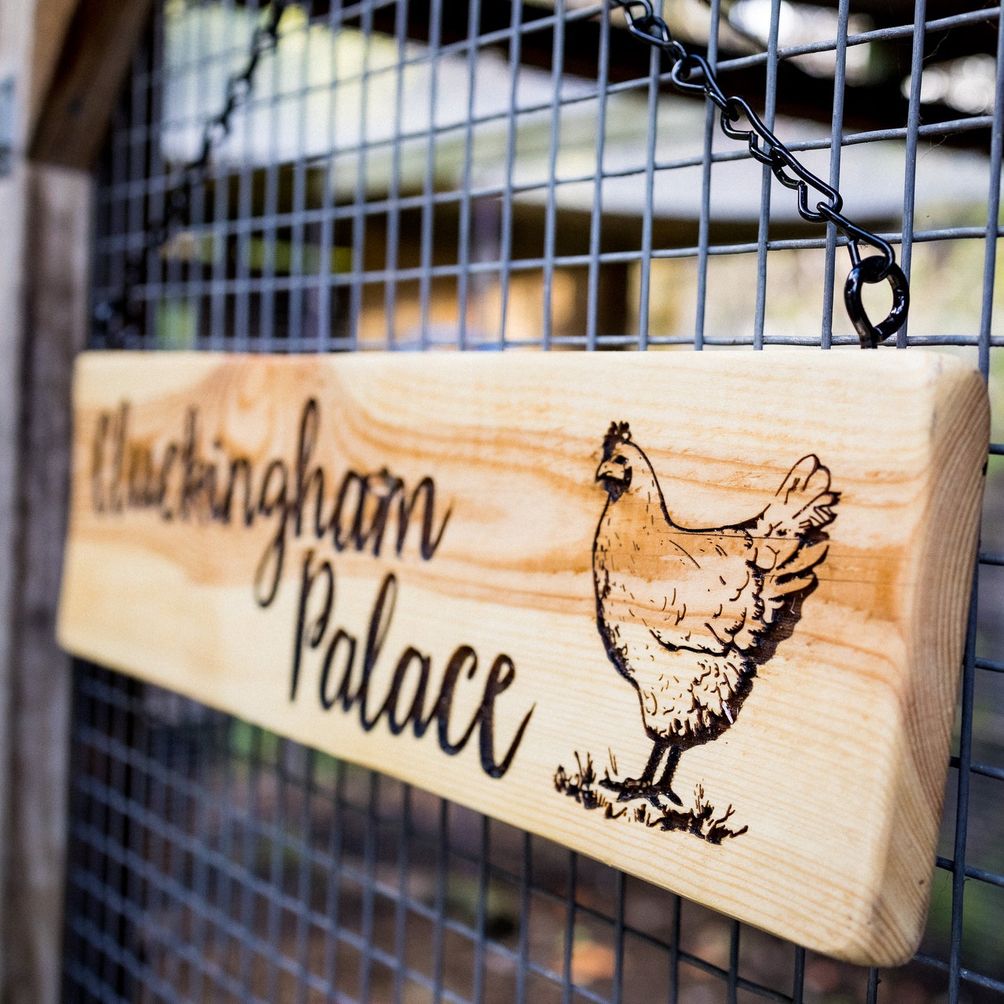 Chicken Coop Signs