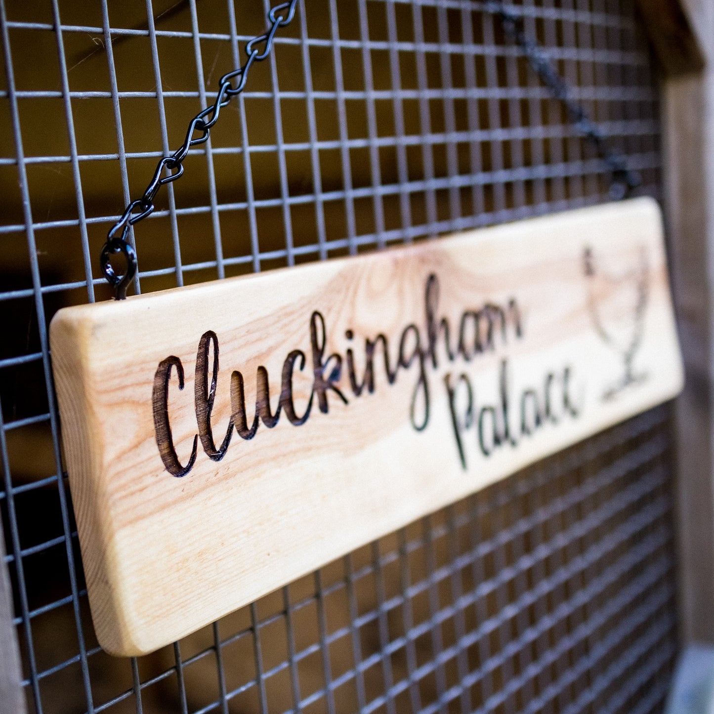 Chicken Coop Signs