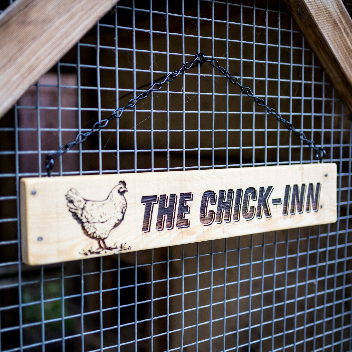 Chicken Coop Signs