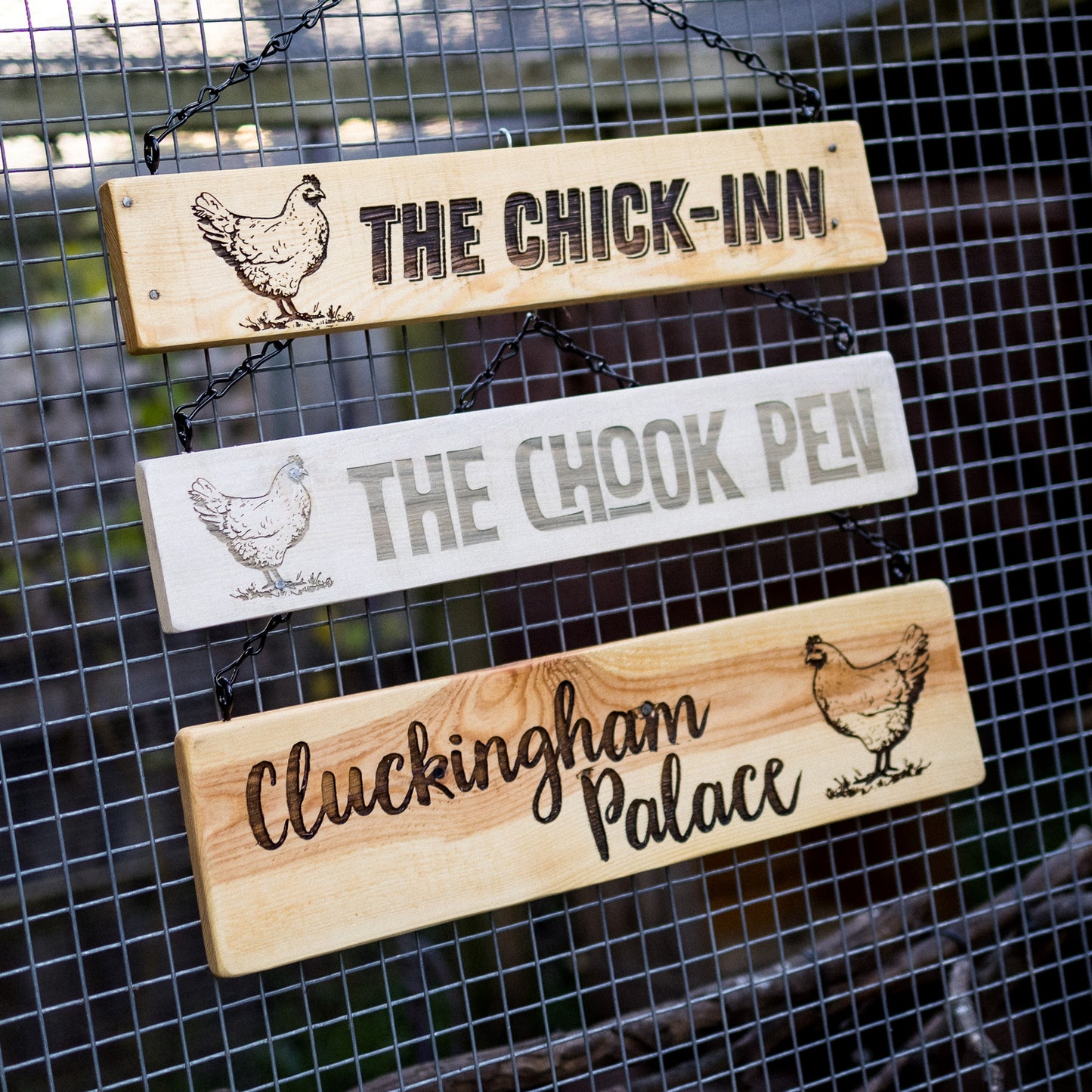 Chicken Coop Signs