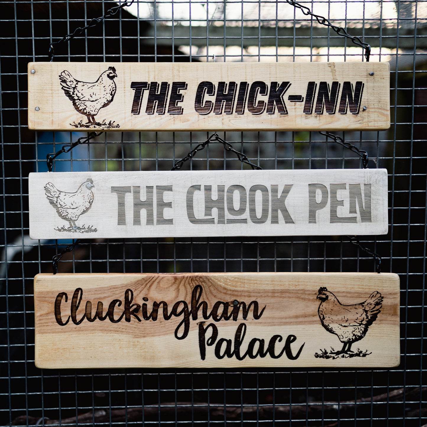 Chicken Coop Signs