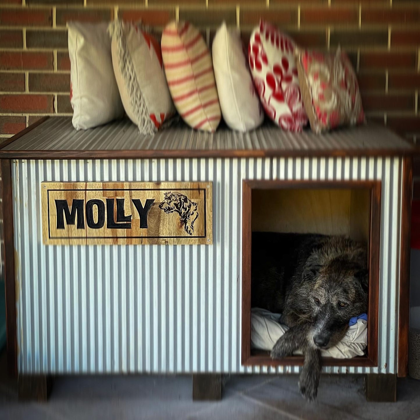 Large Pet Signs